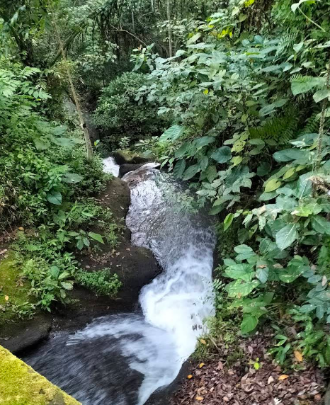 sungai penatu