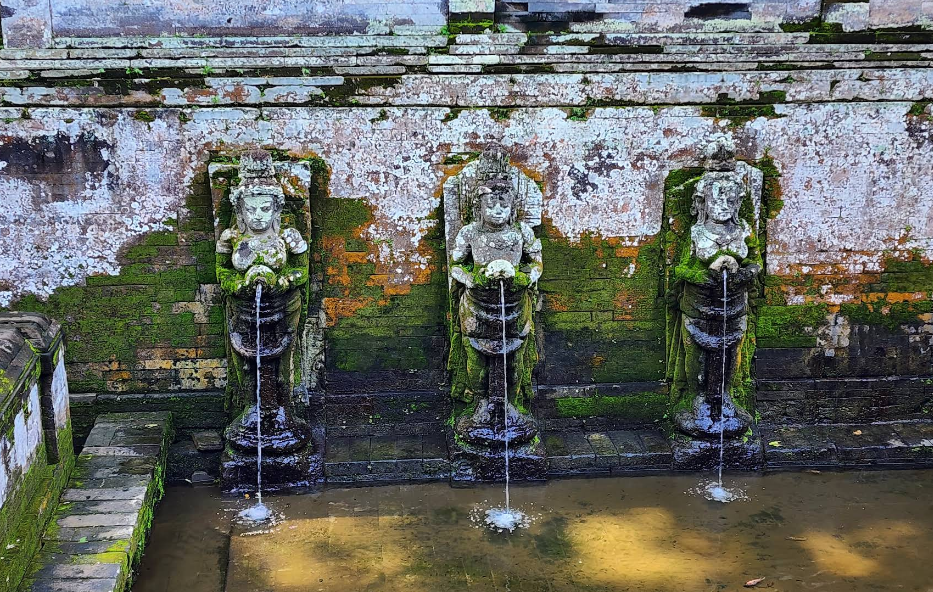 arca di goa