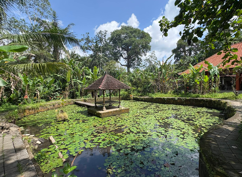 kolam misterius di elephant cave bali gianyar
