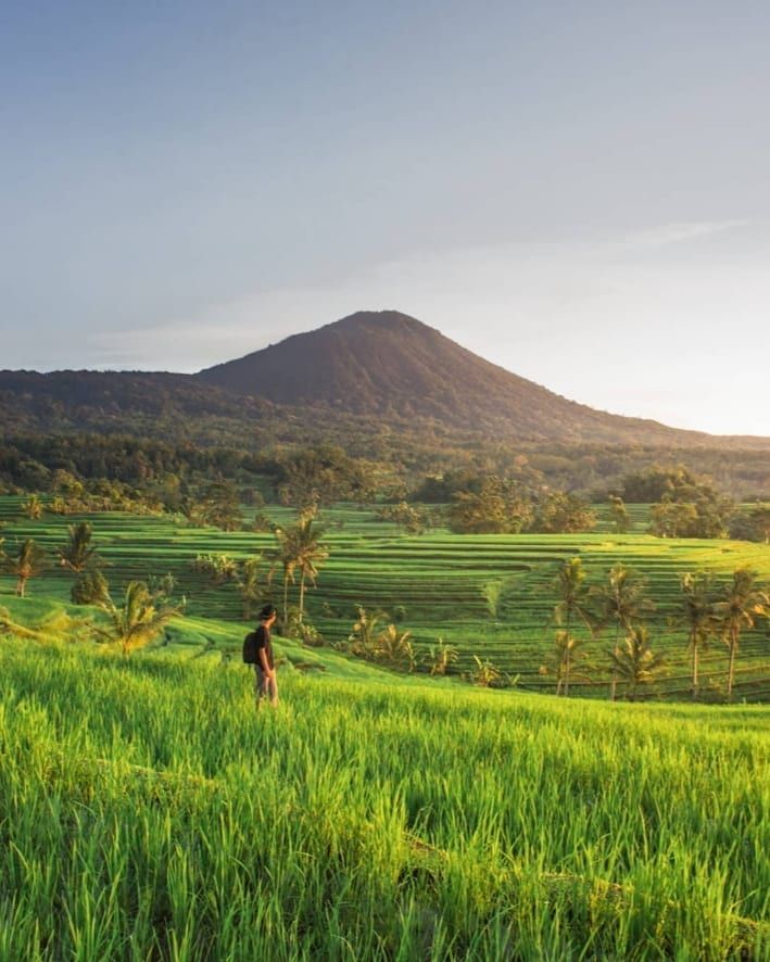 subak dengan latar belakang gunung batukaru