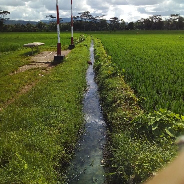 irigasi sawah