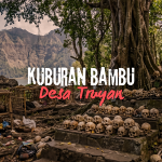 Kuburan Bambu Desa Terunyan (The Paradox of Decay)