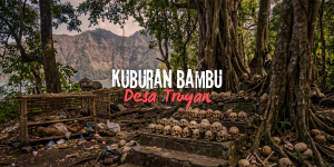 Kuburan Bambu Desa Terunyan (The Paradox of Decay)